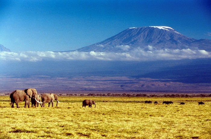 The colours of Kilimanjaro.