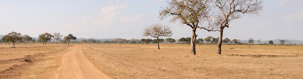 The arid climate of Tanzania.